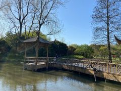 -上海滨江森林公园