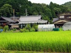 -学习谷日语培训日本留学·多语种外语教学(西单宣武分部)
