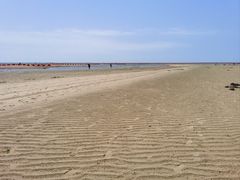 -北海金海湾红树林生态旅游区