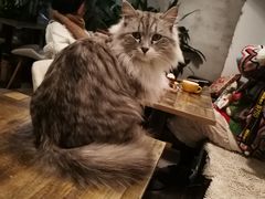 -小时光咖啡馆(北锣鼓巷店)