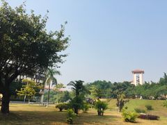 -广东财经大学(佛山校区)