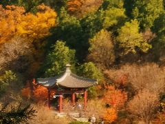 -香山公园