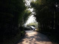 android_upload_pic-苏州环秀晓筑养生度假村
