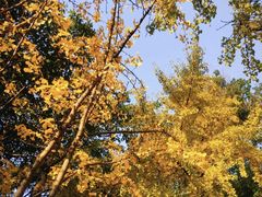 -重庆彩云湖湿地公园