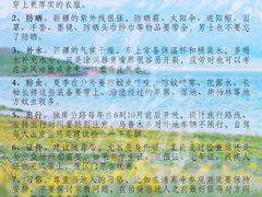 -新疆那拉提国家旅游度假区