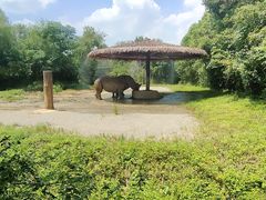 -宁波野生动物园