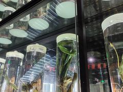 -广东中医药博物馆