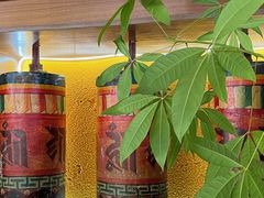 -缘生态云南菜·野生菌庭院餐厅(华侨城店)