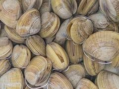 -大连熟食品交易中心