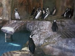 -上海野生动物园