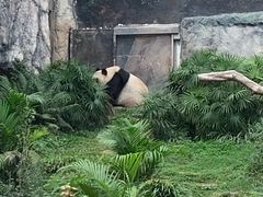 -石排湾郊野公园