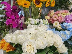 -FEI FEI FLOWER鲜花店·气球派对·宝宝宴布置(虹口德必运动Loft店)