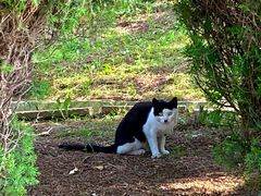 -石岛赤山风景区