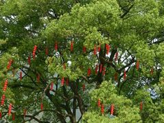 -南尖岩景区