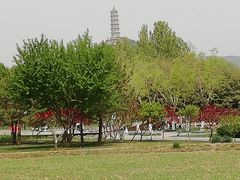 -北坞公园