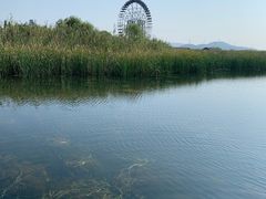 -苏州太湖湖滨国家湿地公园