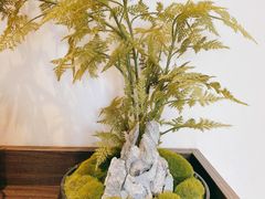 -阿胖龙虾(罍街店)