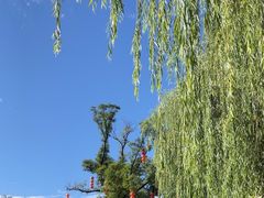 -承德避暑山庄景区