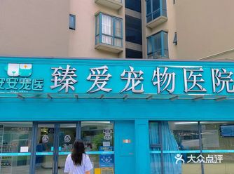 成都探店 | 今天是带狗子去驱虫的一天