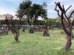 -长洲岛都市农业公园