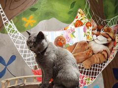 -么么咖啡(燕郊店)