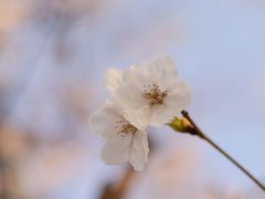 -苏州太湖国际会议中心