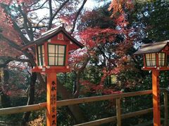 -成都濑川外国语学校