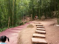 -川西竹海景区