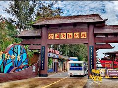 -北海金海湾红树林生态旅游区