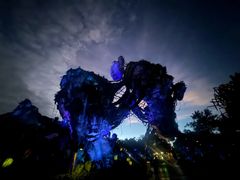 -奥兰多迪士尼动物王国乐园