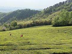 -敬亭山风景名胜区