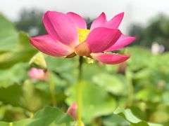 -太阳宫公园