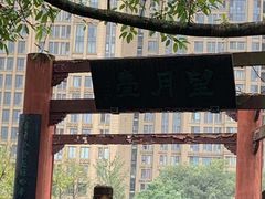 -望江楼公园