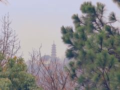 -苏州上方山国家森林公园
