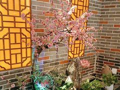 -富侨养生(光大会展店)