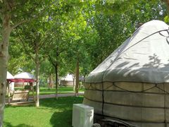 -九十九顶毡房(阜石路店)