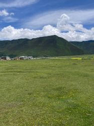 -纳帕海依拉草原