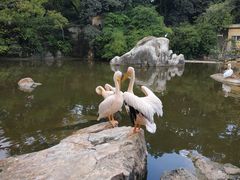 -昆明动物园