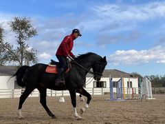 -北京群众马术培训基地