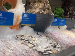 -星伦多自助料理·涮烤一体(江桥万达店)