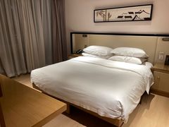 -曙光薇酒店(南京夫子庙老门东店)