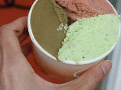 -Dip in Gelato(富民路店)