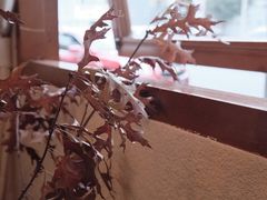 -Ginko银子(青龙街店)