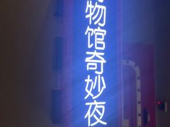 -Xcape异时刻密室逃脱魔法互动(瑞虹天地太阳宫店)