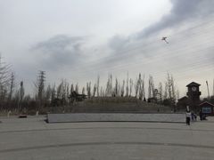 -永定河休闲森林公园