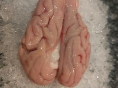 -哥老官重庆美蛙鱼头(宝山龙湖店)