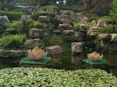 -秀丽东方