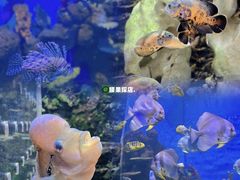 -石林冰雪海洋世界