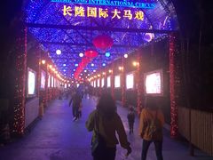-广州长隆国际大马戏