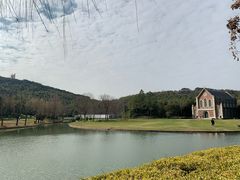 -上海佘山世茂艾美酒店